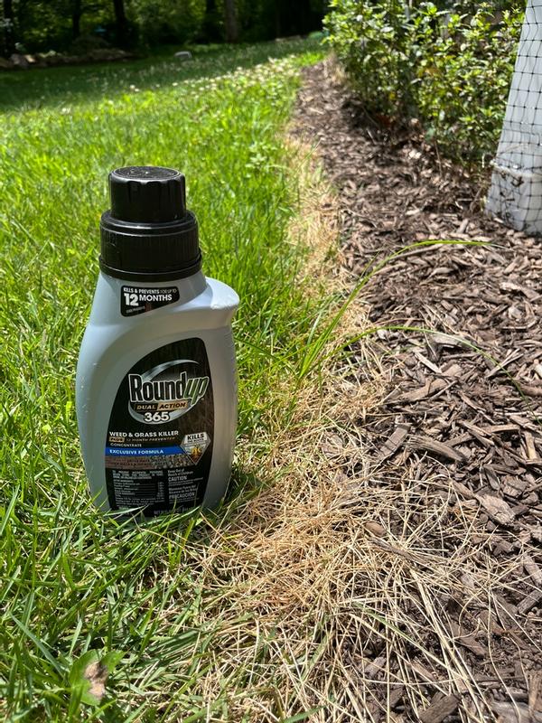 Can You Put Weed Killer on Wet Grass: Effective Tips