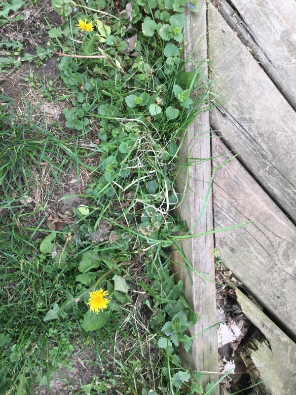 Photo - commentaire&nbsp;4.