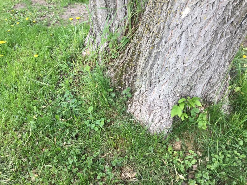 Photo - commentaire&nbsp;7.