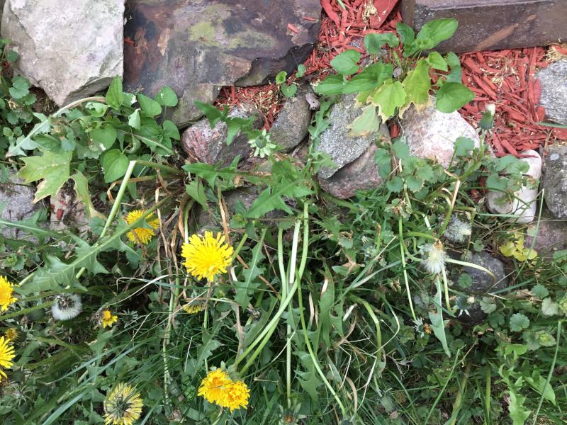 Photo - commentaire&nbsp;5.