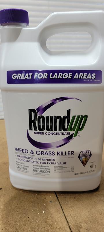 Roundup Super 1-Gallon Concentrated Weed and Grass Killer in the Weed  Killers department at