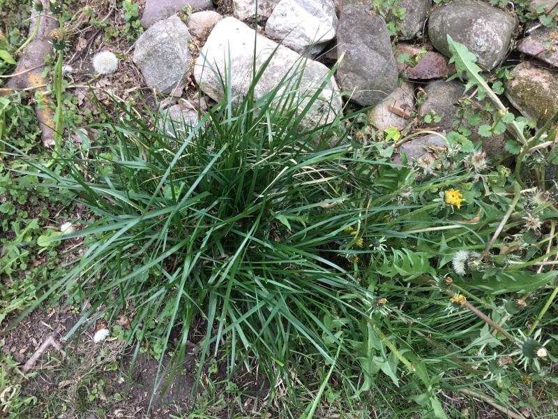 Photo - commentaire&nbsp;6.