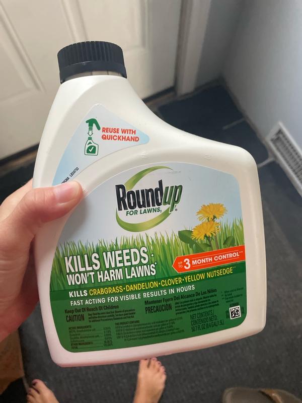 Review photo 3.