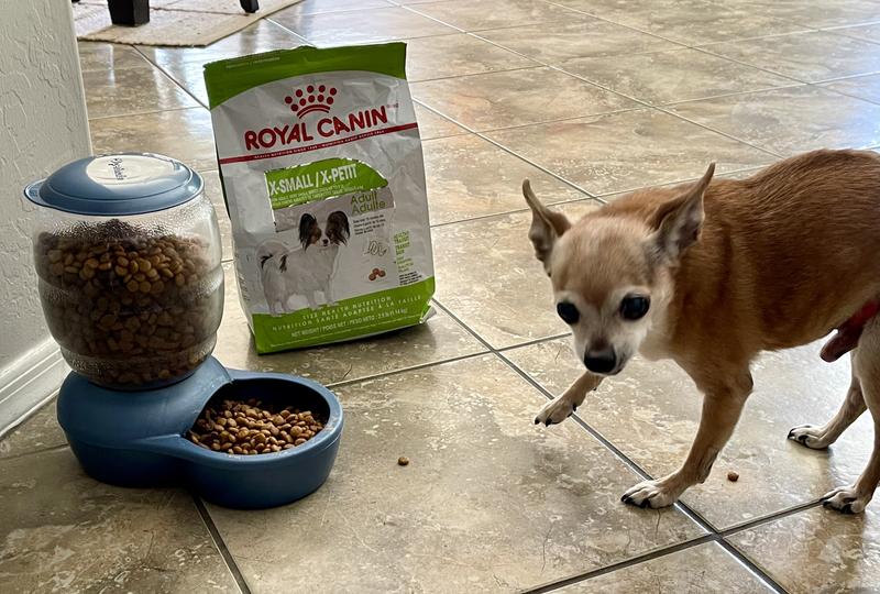 X-Small Adult Dry Dog Food