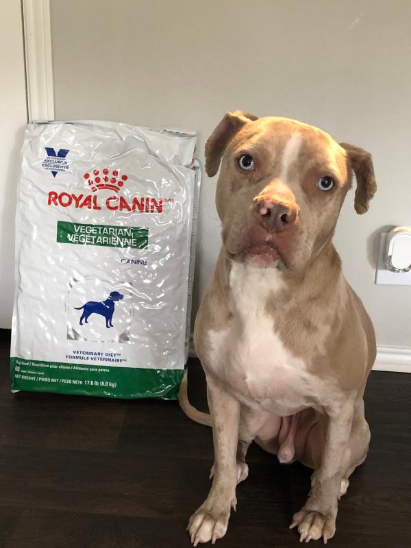 Royal canin vegetarian clearance ingredients