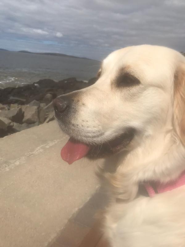 My daily walk