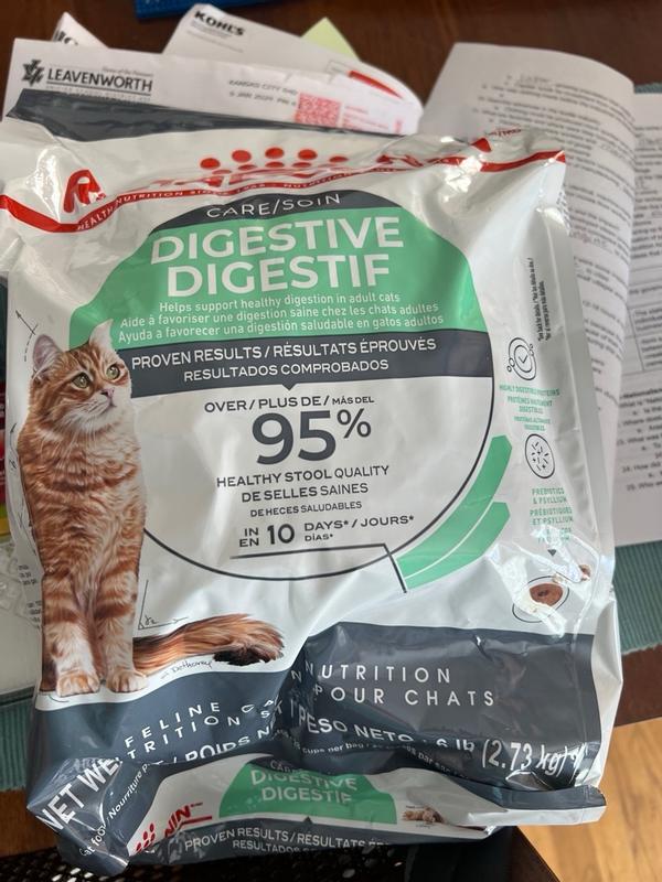 Cat food for cats with digestive problems online
