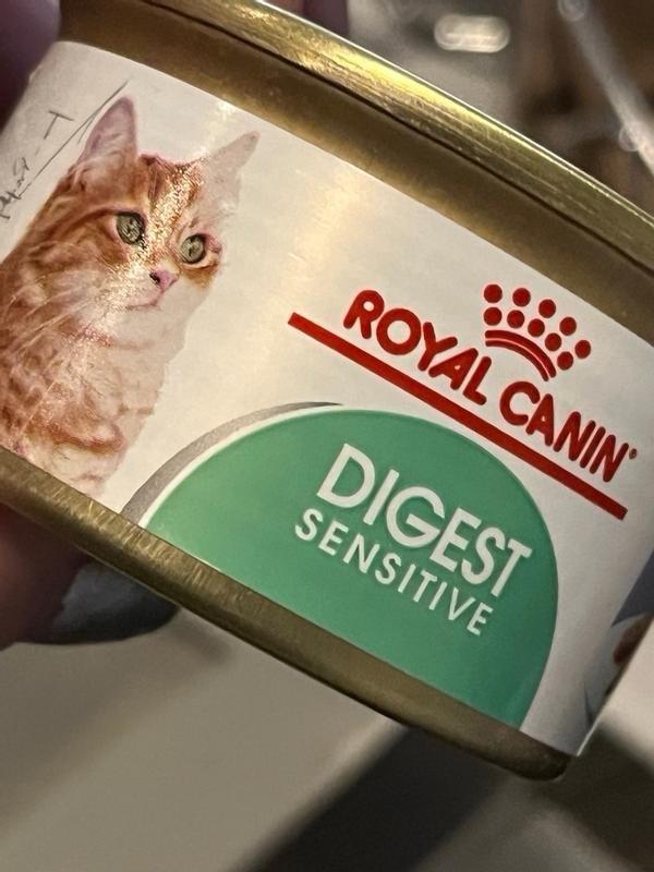 Feline Digestive Care Loaf In Sauce Royal Canin US