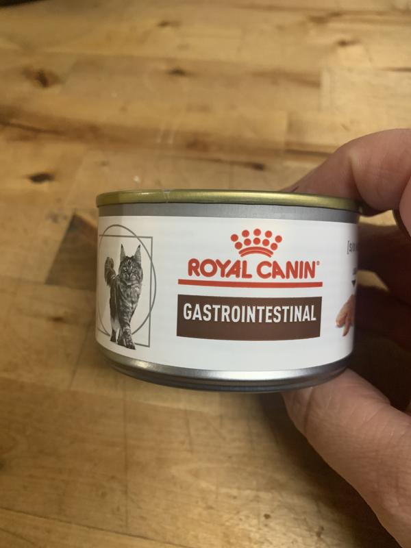 Royal canin best sale gastrointestinal cat wet