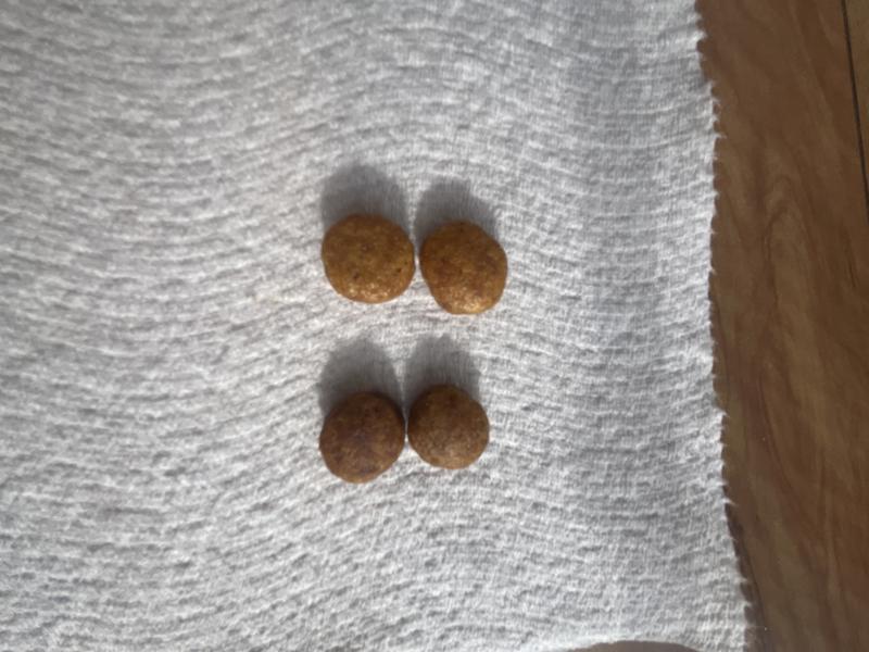 New kibble at the top, old kibble at the bottom