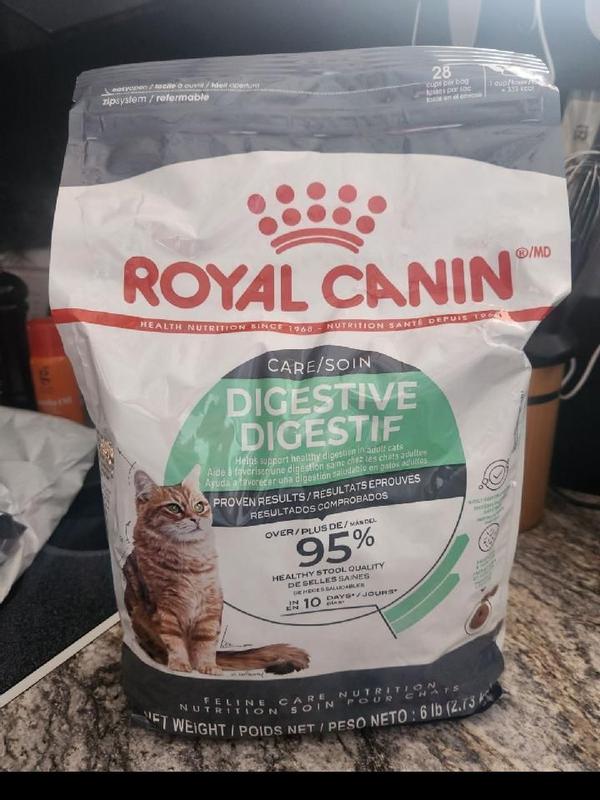 Digestive Care Dry Cat Food Royal Canin US