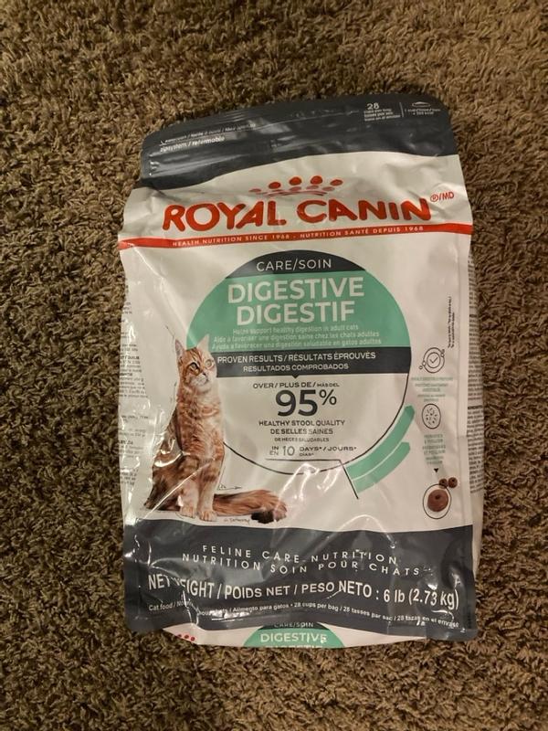 Digestive Care Dry Cat Food Royal Canin US