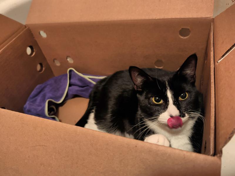 First day in her new home! Back when she was still eating this food.