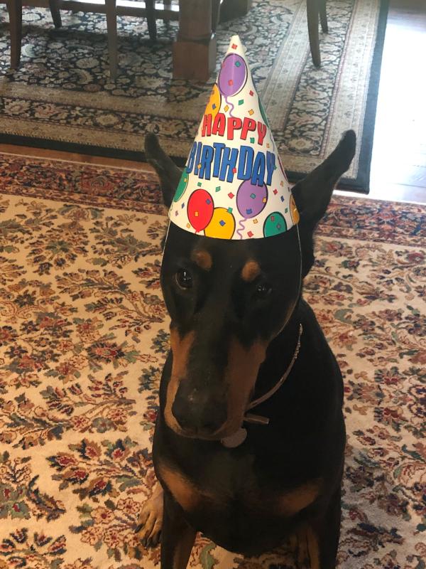 I hate Birthday hats!!!!