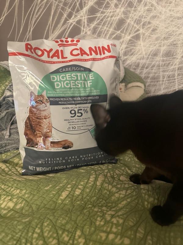 Royal Canin Digestive Care Dry Cat Food, 6 lbs.