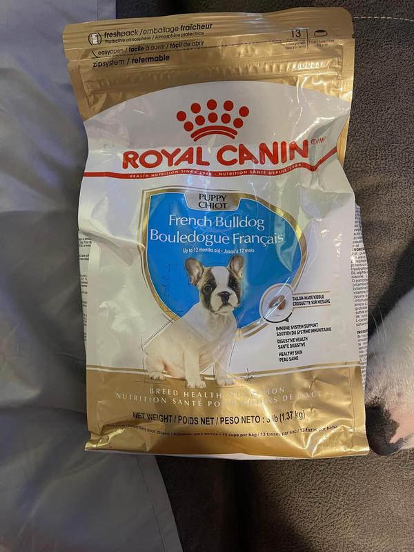 Royal canin dog food french outlet bulldog