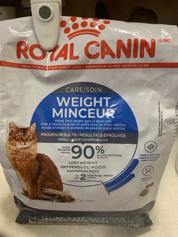 Best dry cat hotsell food for weight gain