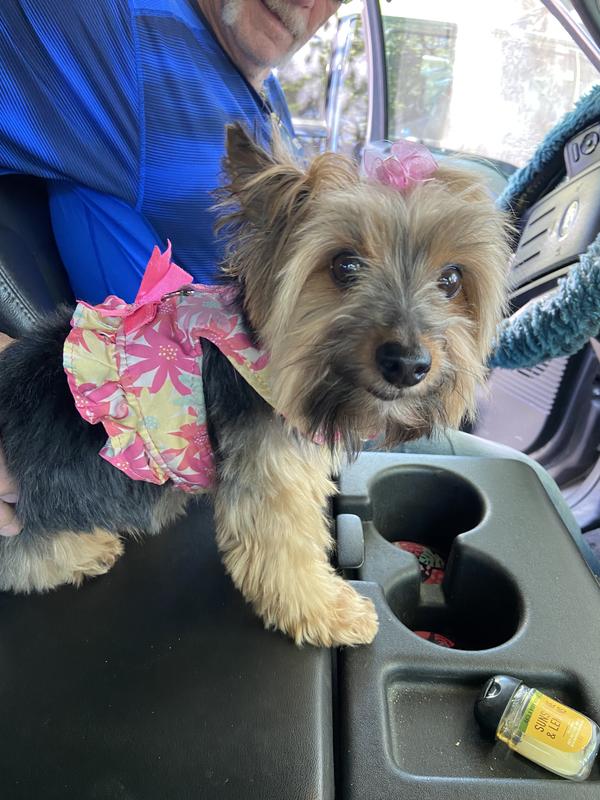 I need to tend to the navigation 🧐