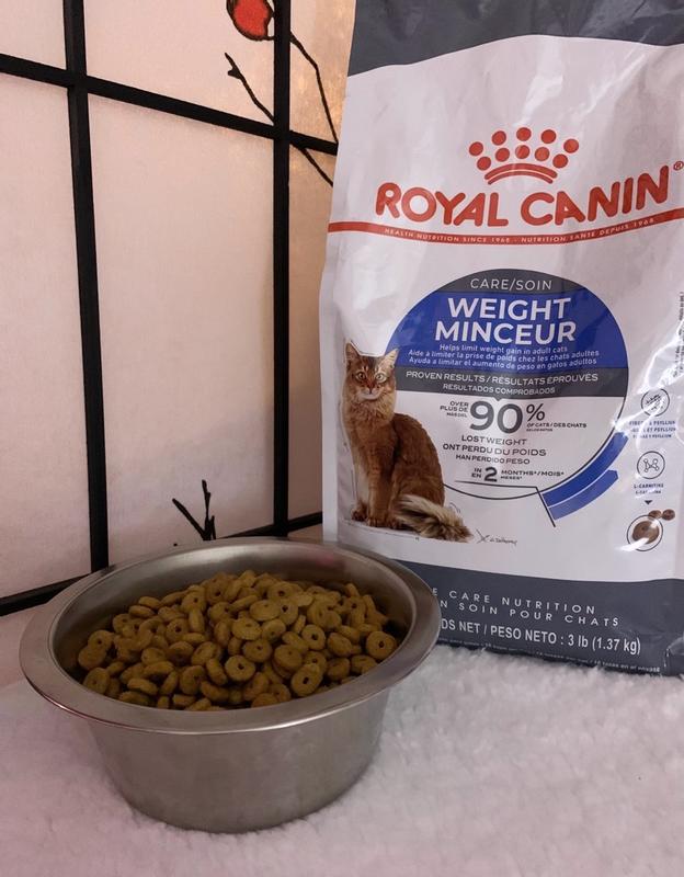 Clinicare feline liquid diet petco sales
