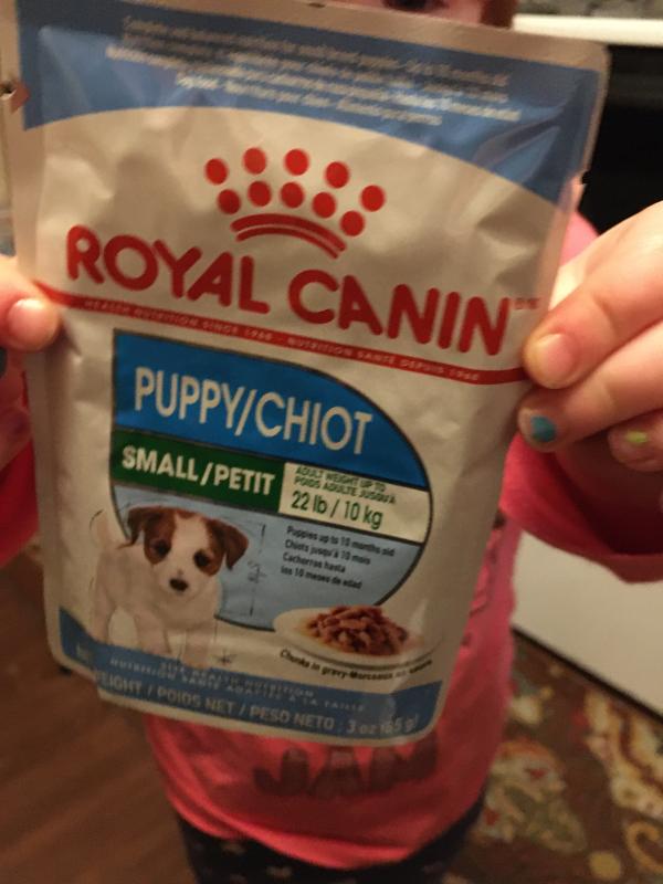 Small Puppy Pouch Dog Food Royal Canin US