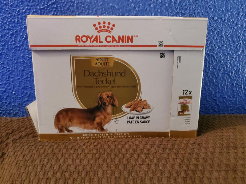 Dachshund wet food best sale