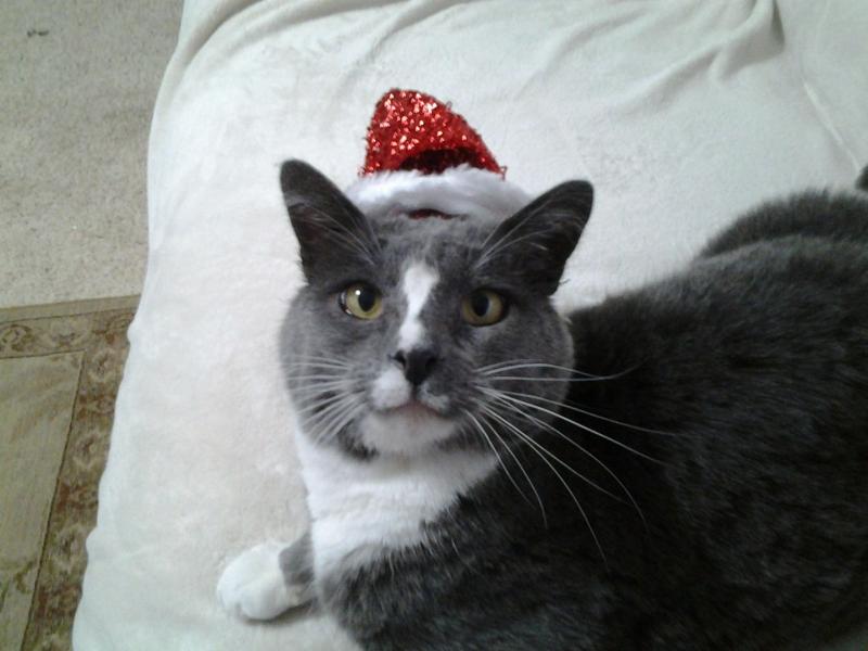 Like my hat?