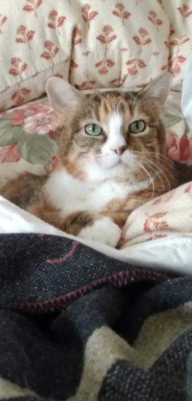 Lucy