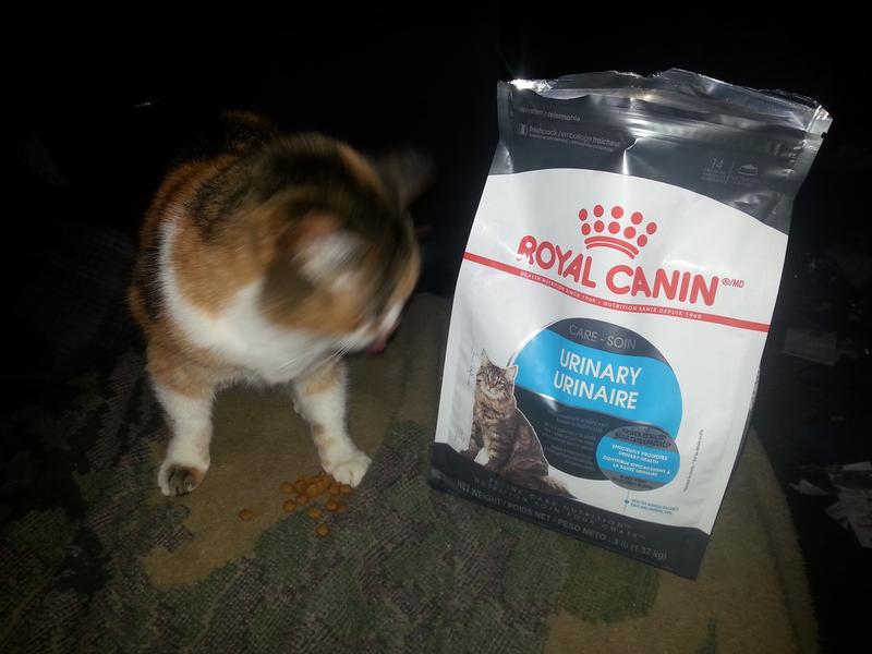 Royal Canin Urinary Care