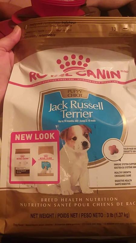 Royal canin shops jack rus terrier puppy