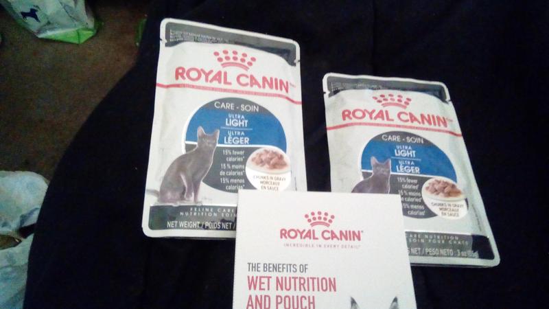 Royal Canin Feline Care Nutrition Weight Care Loaf in Sauce, 5.1 oz, Weight  Management - 61841041 | Blain's Farm & Fleet