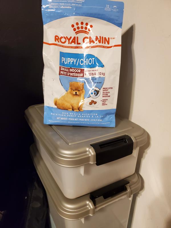 Royal Canin,Dry Dog Food Puppy X-Small Breed - Ren's Pets