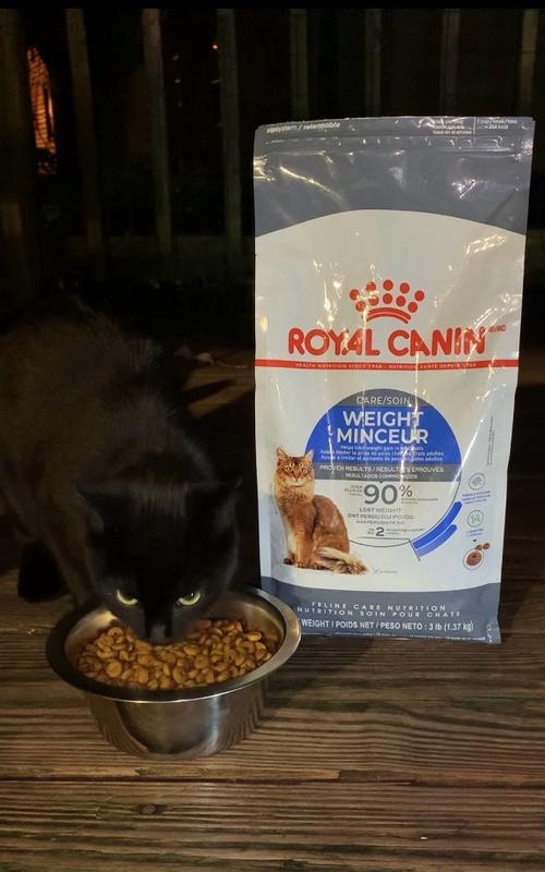 Is royal canin cat food good for my cat best sale