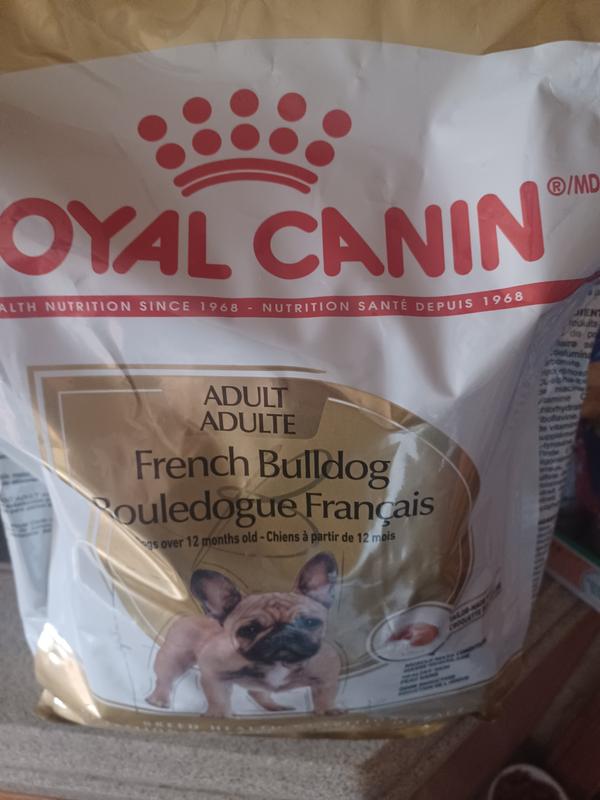 Royal canin french bulldog puppy store food review