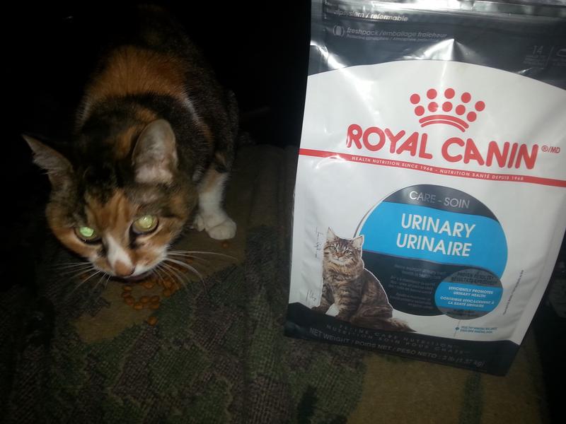 Royal Canin Urinary Care