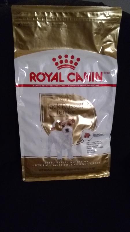 Royal canin clearance jack russell review