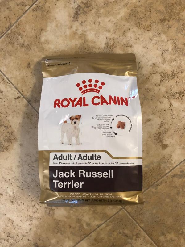 Royal canin jack russell sales