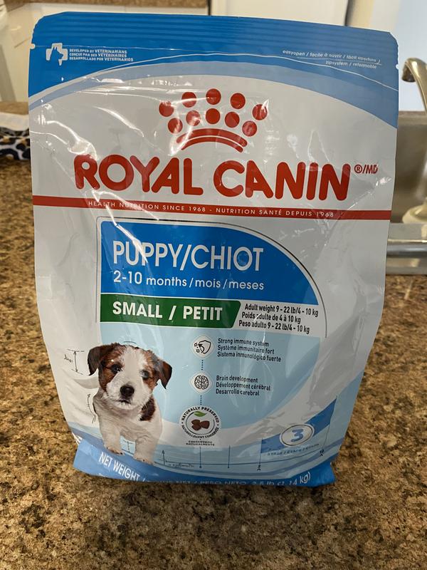 Royal canin puppy mini sales