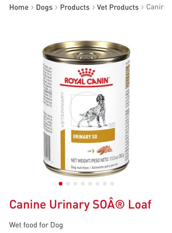 Canine Urinary SO Loaf Royal Canin US