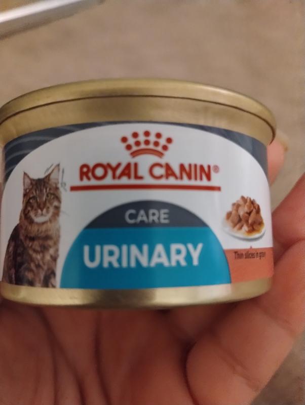 Royal canin hotsell urinary care review