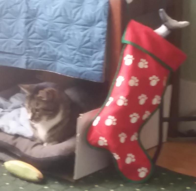 Dunkin's Christmas