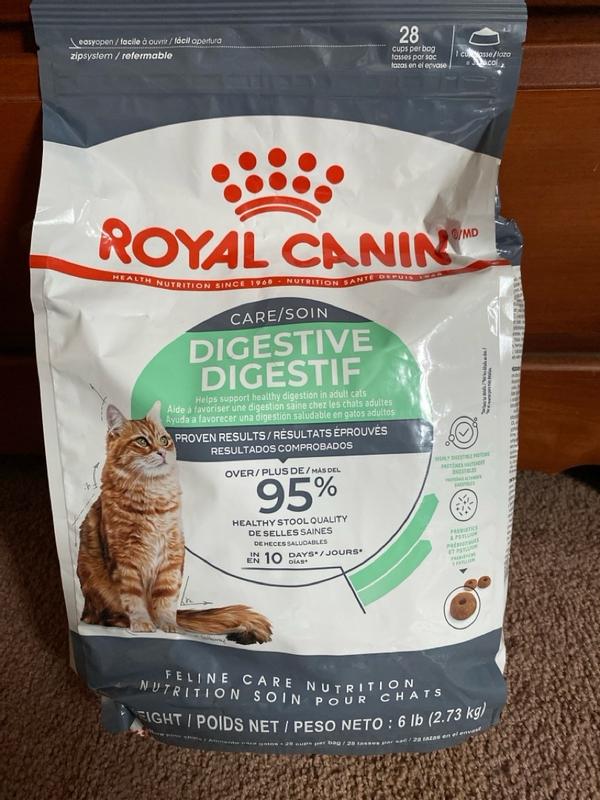 Royal Canin Dry Cat Food Digestive Comfort 14 lb Ren s Pets