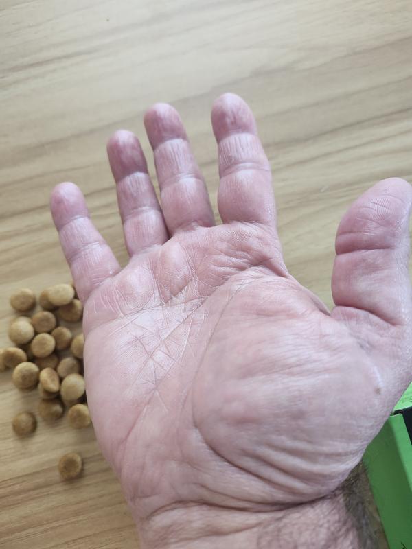 oily kibble
