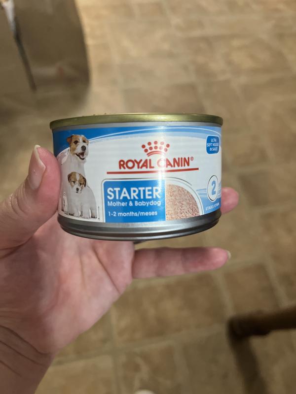 Royal Canin Size Health Nutrition Starter Mother & Babydog Mousse in Sauce  Wet Dog Food (CA), 5.82-oz (**)