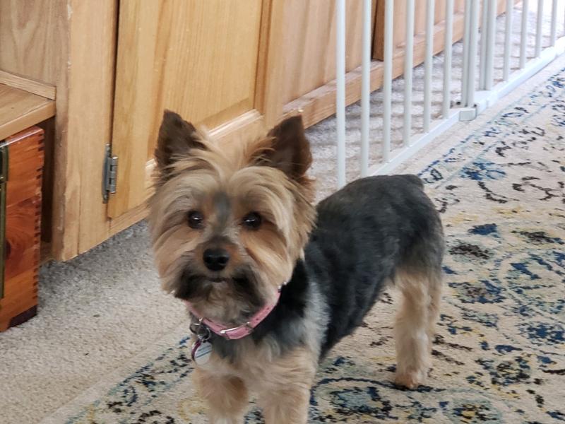 This is my idea of traveling