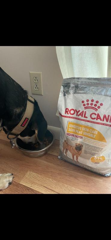 Royal canin sensitive skin care sales