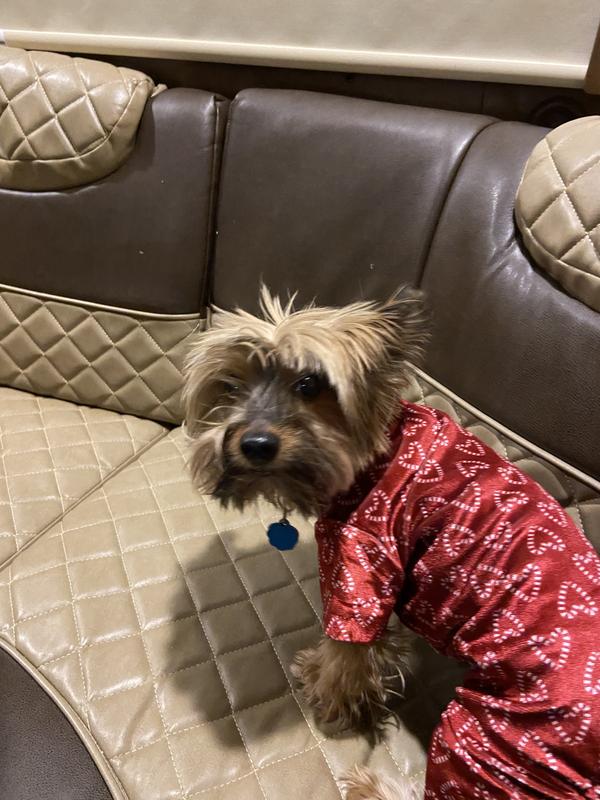 Ugh these pajamas 🥴