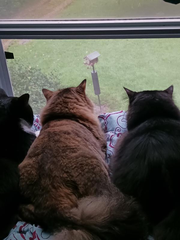 My children