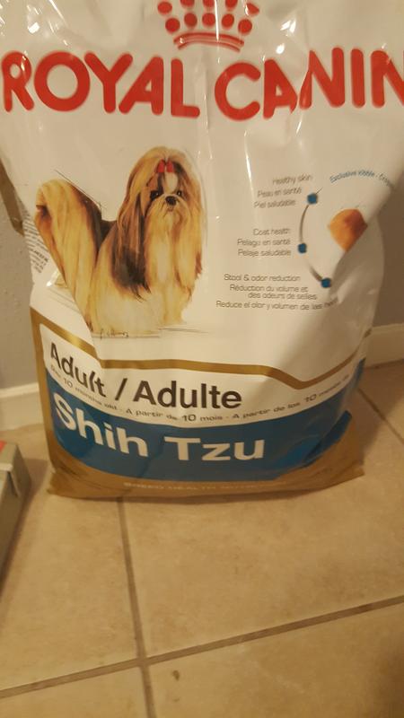 Royal canin 2024 lhasa apso food