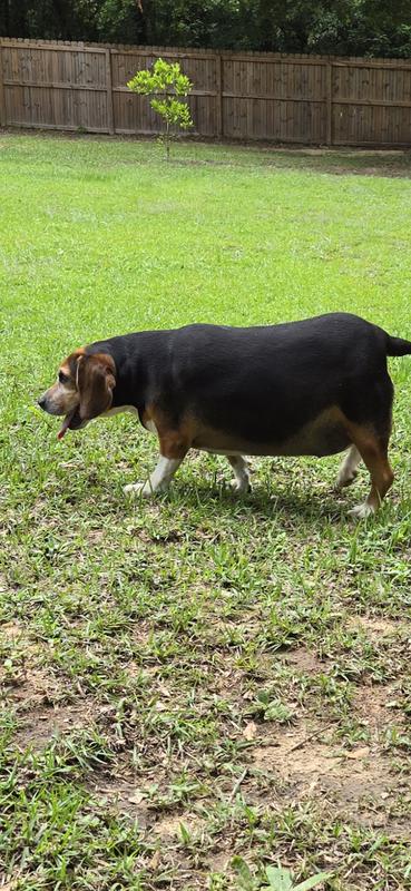 64lbs!!