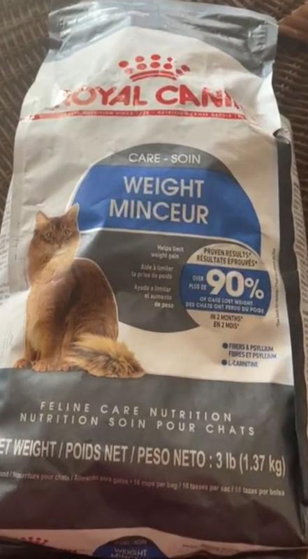 Weight Care Dry Cat Food Royal